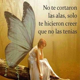 Profile Picture of Blanca Fabiola Rodriguez Cordova (@blancafabiolaro) on Pinterest