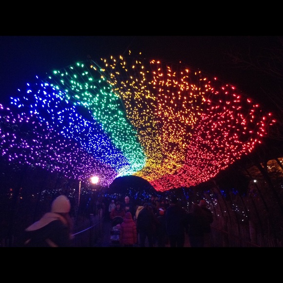 Profile Picture of Skyler Jackson (@skylerbugg) on Poshmark