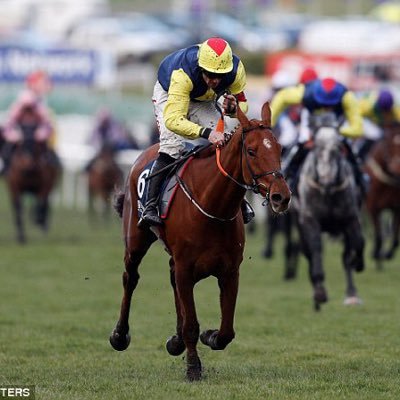 Profile Picture of Festival Bets (@Festival_Bets) on Twitter