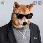 Profile Picture of   gabi.dk (@gabi.dk) | TikTok... (@gabi.dk) on Tiktok