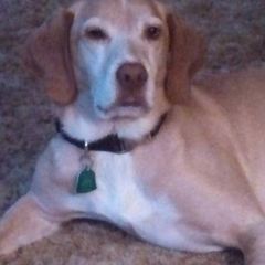 Profile Picture of Phill (@phyllislund1) on Tiktok