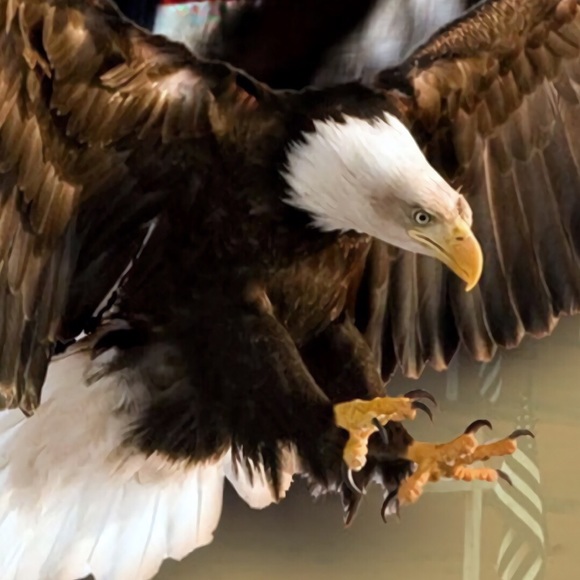 Profile Picture of Dustin Barnes (@dustinbarnes) on Poshmark