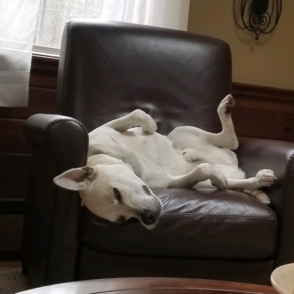 Profile Picture of Kevin Eisenmann (@vteservices) on Poshmark