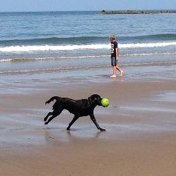 Profile Picture of Jay Halton (@jayhal7on) on Twitter