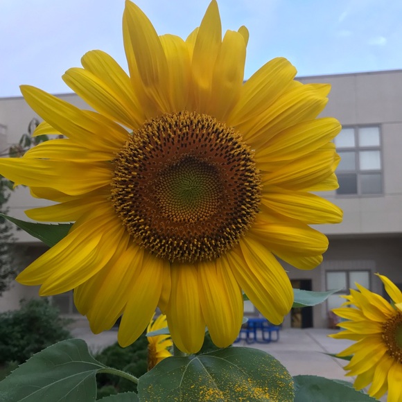 Profile Picture of Briana Krasner (@bkrasner508) on Poshmark