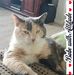 Profile Picture of Nancy Swan (@nancy.swan.161) on Facebook