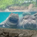 Profile Picture of Joyce Testerman (@joyce.testerman.5) on Facebook