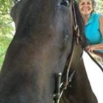 Profile Picture of Karen Milstead Lioce (@kltkj) on Instagram