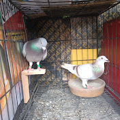 Profile Picture of Joseph Martos (@josephmartos24) on Youtube