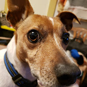 Profile Picture of Skeeter Burke (@skeeterburke4619) on Youtube