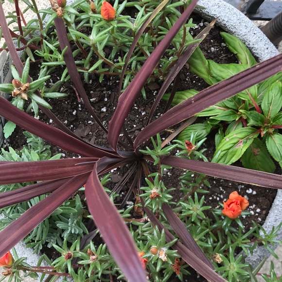 Profile Picture of Marlo Wahle (@mjw717) on Poshmark