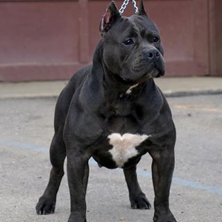 Andrei Pascal - Facebook Profile Picture of Andrei Pascal (@andrei.pascal.94009) on Facebook