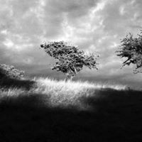 Profile Picture of Edward Bartels (@edward-bartels-2) on Quora