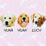 Profile Picture of Yuna Yuan Lucy Fiona (@yunayuanlucy) on Instagram