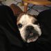 Profile Picture of Jim Duggan (@jim.duggan.566) on Facebook