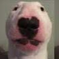 Profile Picture of Student Andrew Janeczek (@student-andrew-janeczek) on Quora