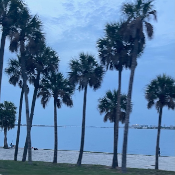 Profile Picture of Nick Stefanakis (@nickcs_) on Poshmark