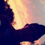 Profile Picture of nathan ewalt (@nathanewalt65) on Instagram