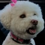 Profile Picture of tracy truscott (@tracyleelj) on Instagram