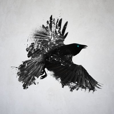 Profile Picture of Jack Keeling (@Jack_Island) on Twitter