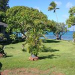 Profile Picture of Lisa Zarko (@lisazarko) on Instagram