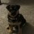 Profile Picture of Carrol Adkins (@carroladkins) on Pinterest