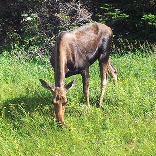 Profile Picture of Dayna Stephens (@Dayna-Stephens) on Facebook