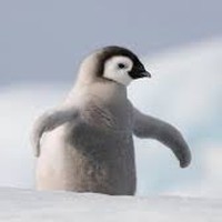 Profile Picture of Fabian Zapata (@fabian-zapata-7) on Quora