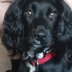 Profile Picture of Karen J Bartlett (@karen.j.bartlett.1) on Facebook