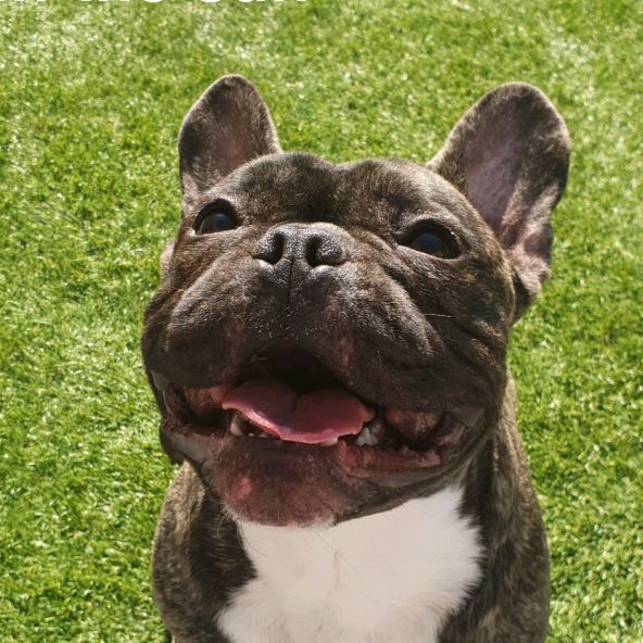 Profile Picture of Dylan Greer (@dylangreer1) on Tiktok