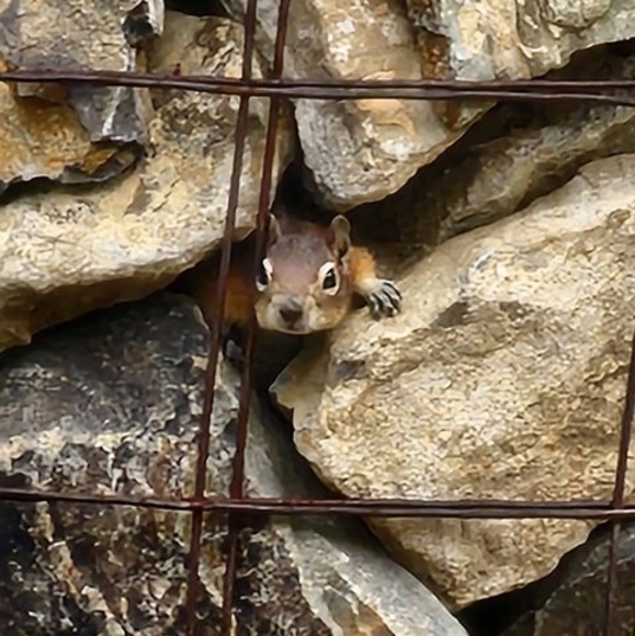 Profile Picture of Kim Wiederhold (@broncodame) on Poshmark