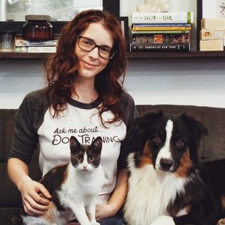 Erin Britton, KPA-CTP, CPDT-KA - Instagram Profile Picture of Erin Britton, KPA-CTP, CPDT-KA (@erin_trains_dogs) on Instagram