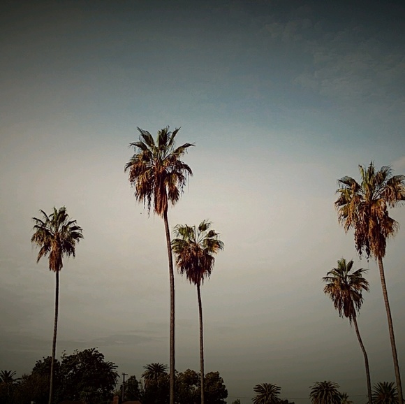 Profile Picture of Eric Bahena (@shoesbro) on Poshmark