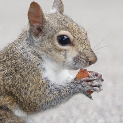 Profile Picture of DanKrolczyk (@dankrolczyk) on Twitter