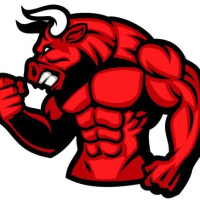 Profile Picture of Kevin HALLER (@KevinHALLER15) on Twitter
