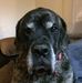 Profile Picture of Debbie SundquistOwen (@debbie.sundquistowen) on Facebook