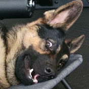 Profile Picture of Nancy Huynh (@bansheenanshee) on Youtube