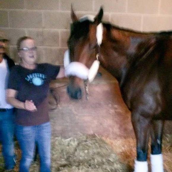 Profile Picture of Sherri Tanner (@sherritanner) on Poshmark