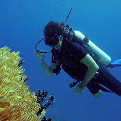 Profile Picture of Mark D'Aguiar (@MarkDAguiar) on Twitter