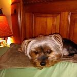 Profile Picture of Deborah Heath (@deborahheath46) on Instagram