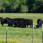 jeff_goldsmith50 - Instagram Profile Picture of jeff_goldsmith50 (@jeff_goldsmith50) on Instagram