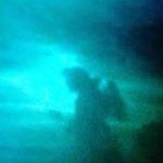 Profile Picture of Mac Chapman (@chapman.mac) on Instagram