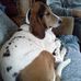 Profile Picture of Doris Benoit (@profile.php) on Facebook
