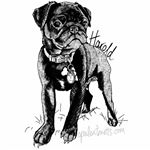 Harold Shilling RESCUE PUG - Instagram Profile Picture of Harold Shilling RESCUE PUG (@haroldshillingpug) on Instagram