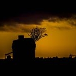 Profile Picture of Thomas Fells (@toms_photos2000) on Instagram