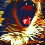 Profile Picture of John Clapperton (@clappej) on Instagram