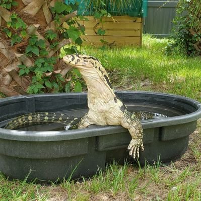 Profile Picture of Jim Heck (@JimHeck12) on Twitter