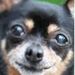 Profile Picture of James Annis (@jannis7244) on Pinterest