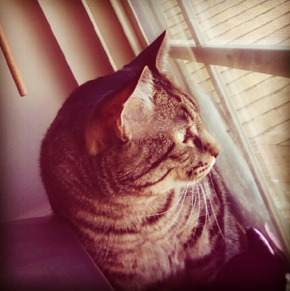 Profile Picture of Ashley Bignall (@ashley_bignall) on Poshmark