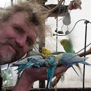 Profile Picture of Andreas Gebauer (@andreas.gebauer.94) on Facebook